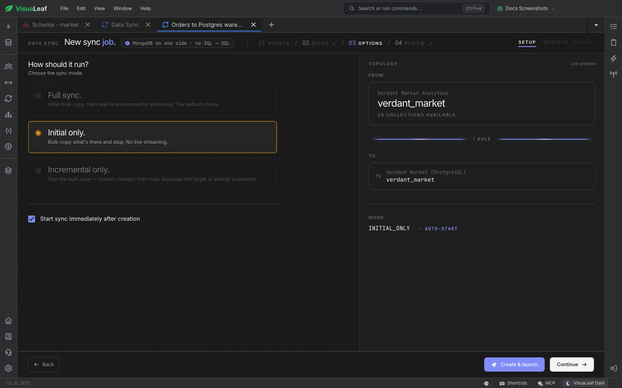 Options step with the Full sync, Initial only and Incremental only modes, Initial only selected, and Start sync immediately after creation ticked