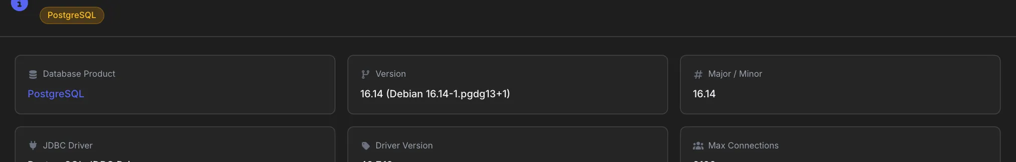 Top row of info cards under the PostgreSQL badge: Database Product PostgreSQL highlighted in accent color, Version 16.14 (Debian 16.14-1.pgdg13+1), and Major / Minor 16.14