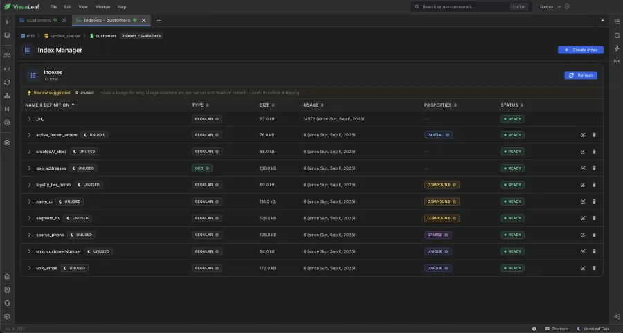VisuaLeaf Index Manager listing a collection's indexes