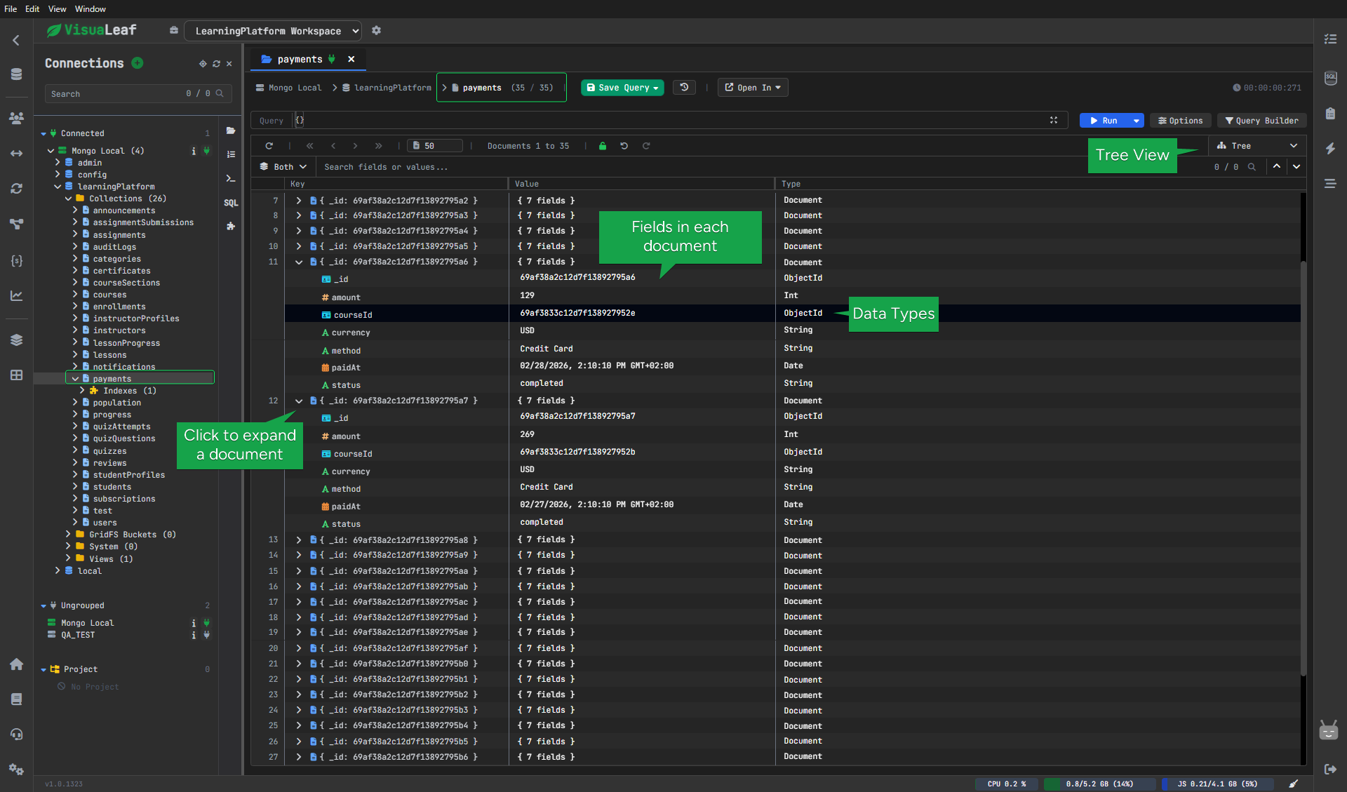 MongoDB tree view showing documents and BSON data types