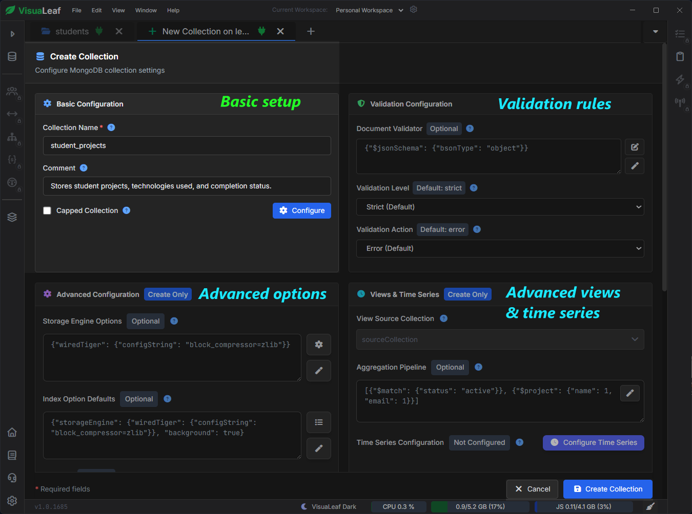 VisuaLeaf Create Collection screen with basic setup, validation rules, advanced options, and time series settings.