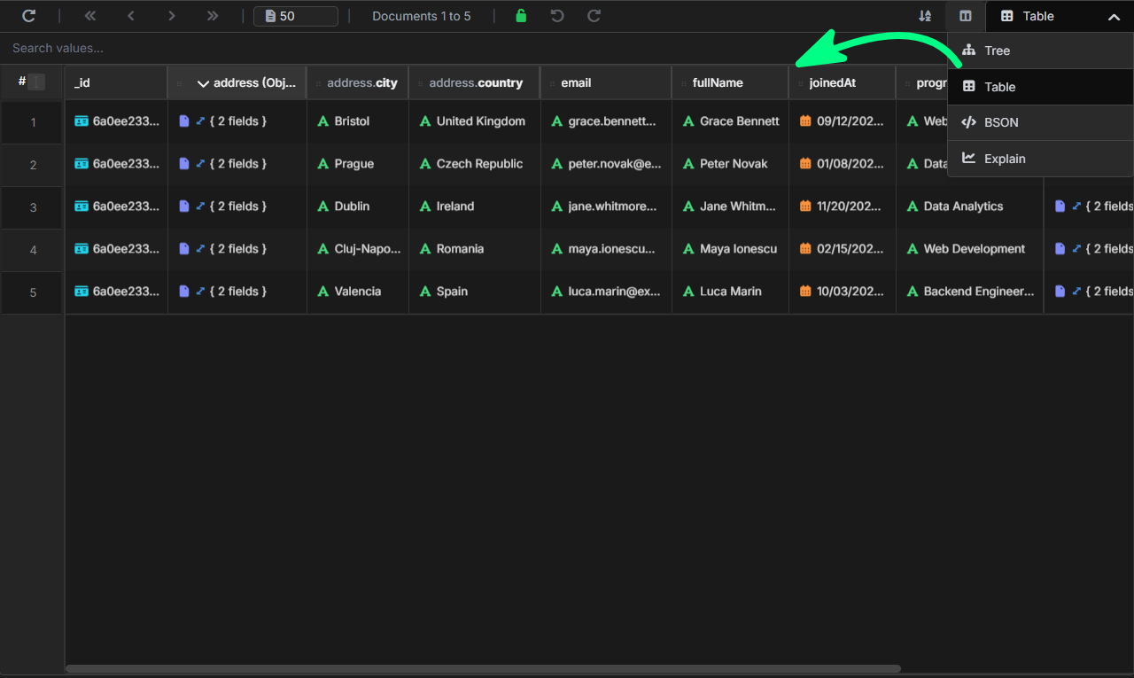 VisuaLeaf showing a MongoDB collection in Table View with options to switch to Tree, JSON, and BSON.