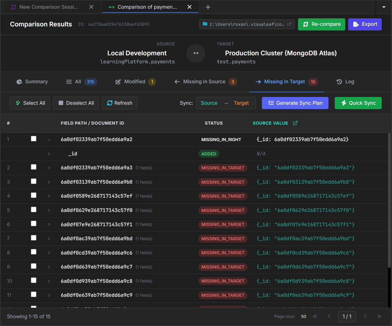 VisuaLeaf showing local MongoDB payments that are missing from the MongoDB Atlas collection.