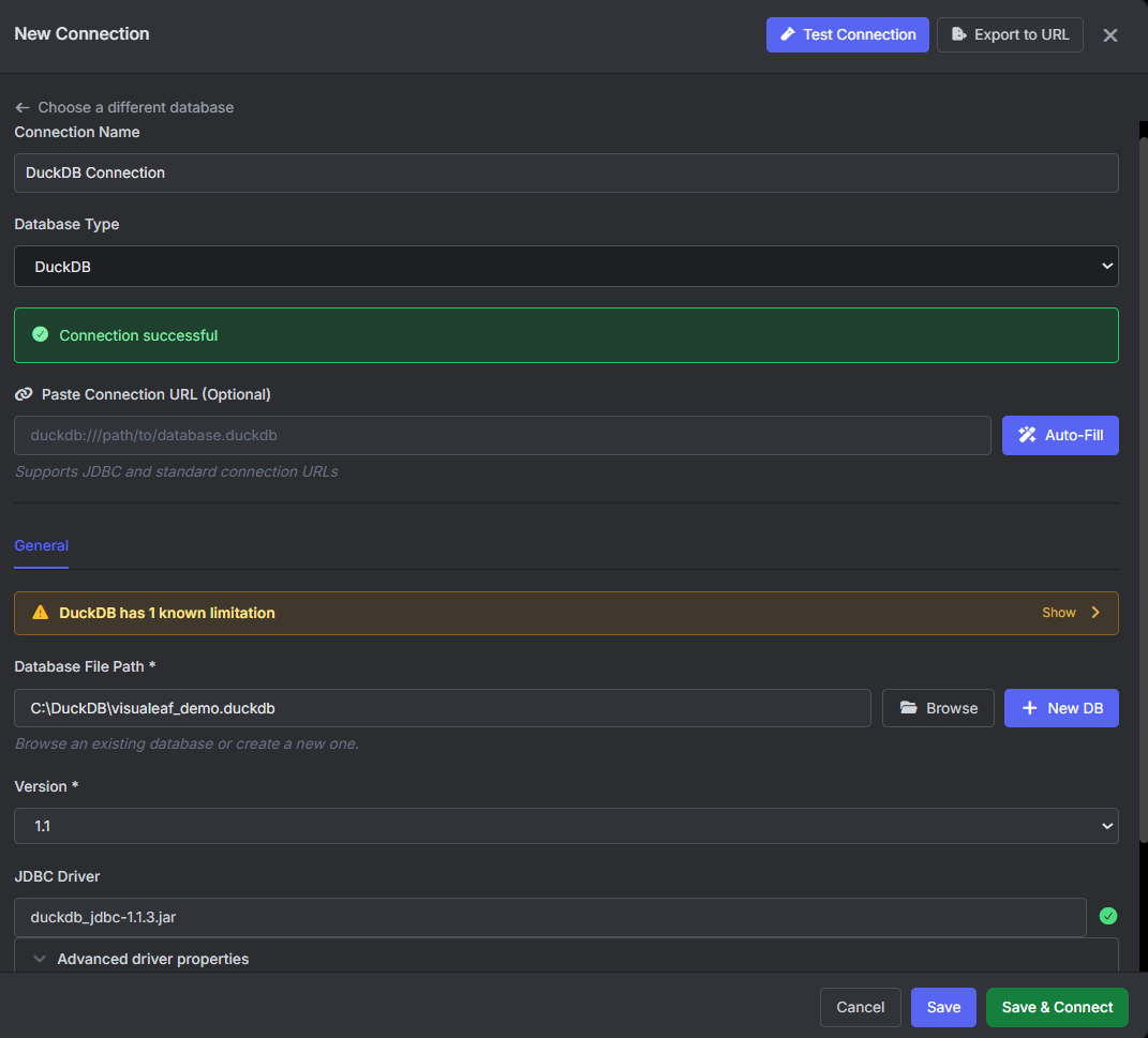 DuckDB connection form in VisuaLeaf showing a successful connection to a local database file.