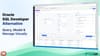 Oracle SQL Developer Alternative: A Visual Oracle GUI