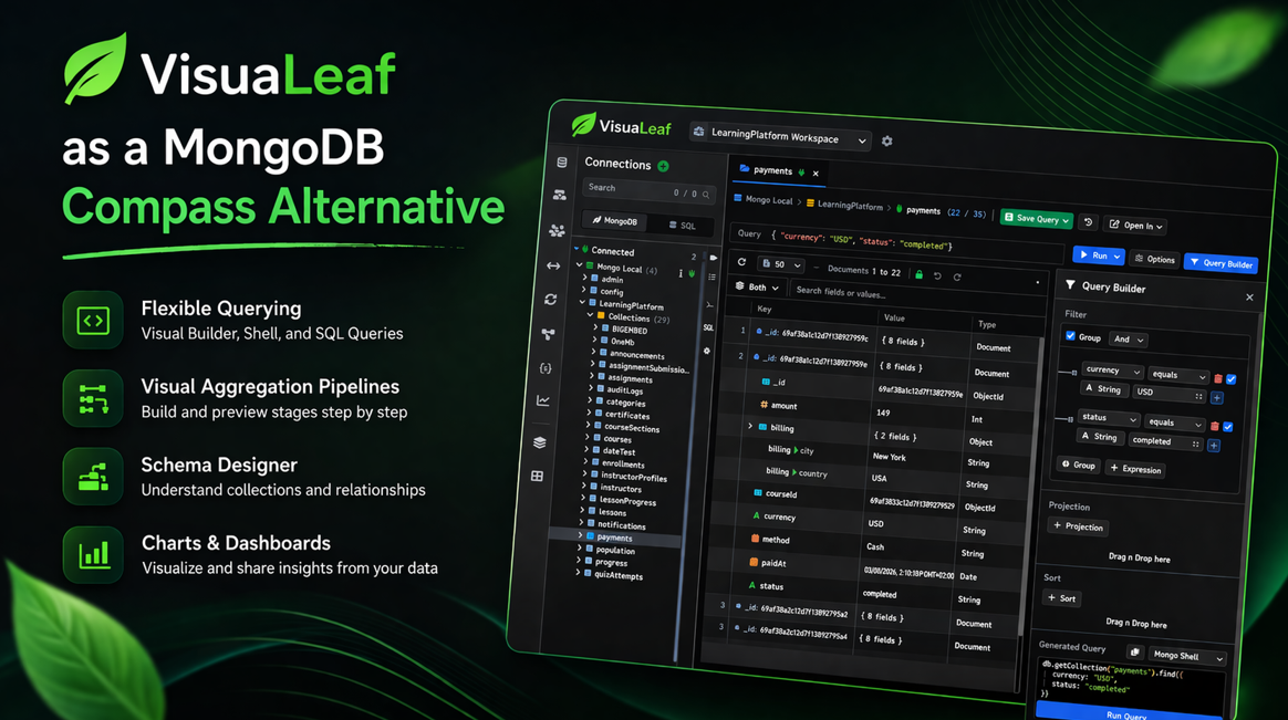MongoDB Compass alternative with visual query builder and schema tools