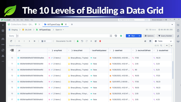 VisuaLeaf data grid cover with title and UI screenshot.