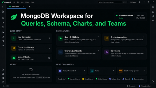 VisuaLeaf MongoDB workspace interface showing query, aggregation, schema, charts, and team workflow features.