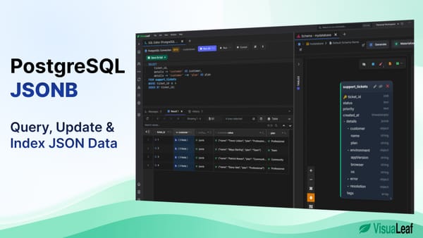 PostgreSQL JSONB query and nested schema displayed in VisuaLeaf.