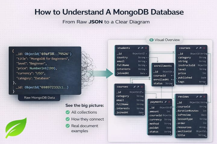 Visual MongoDB schema diagram from raw JSON data