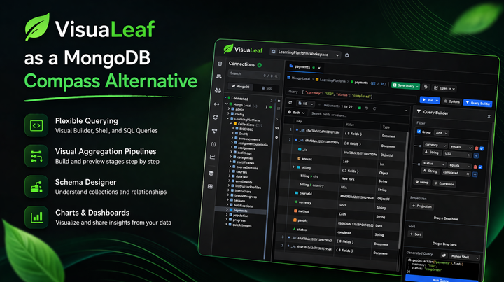 MongoDB Compass alternative with visual query builder and schema tools